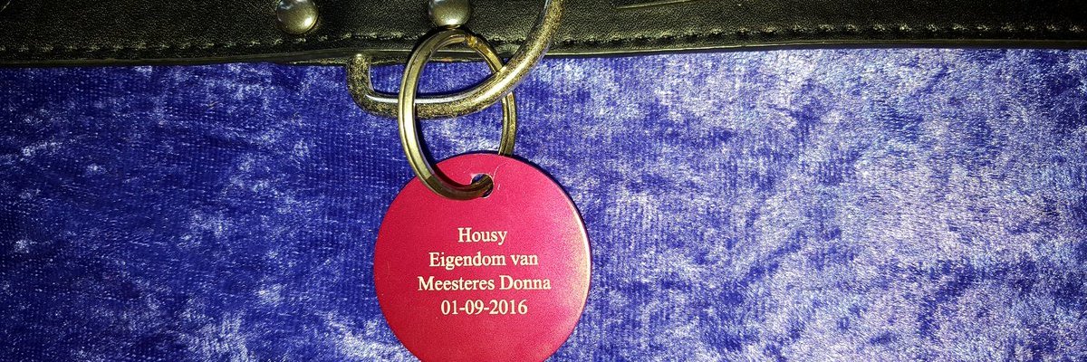 slave_housy's profile banner image