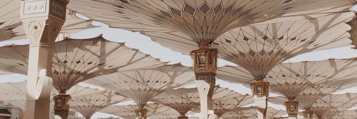 tiqarrr's profile banner image