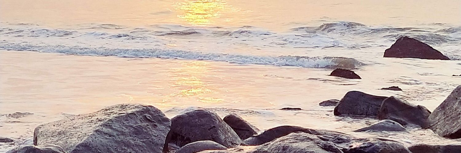 venansondo's profile banner image