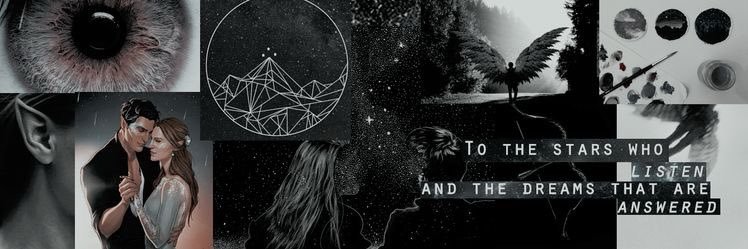 Morgan Reed banner