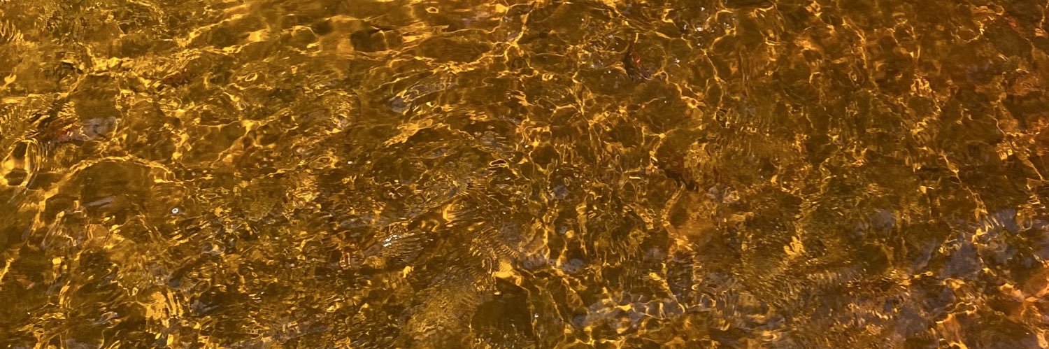 faIIingforywu's profile banner image