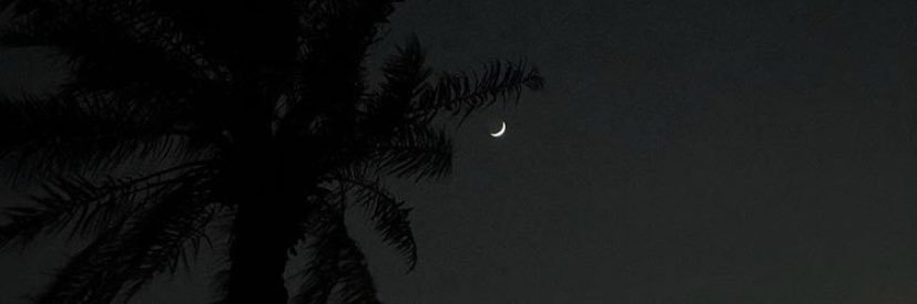 eldanalm's profile banner image