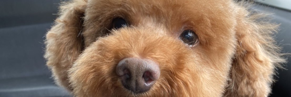 gr_IrnMn's profile banner image