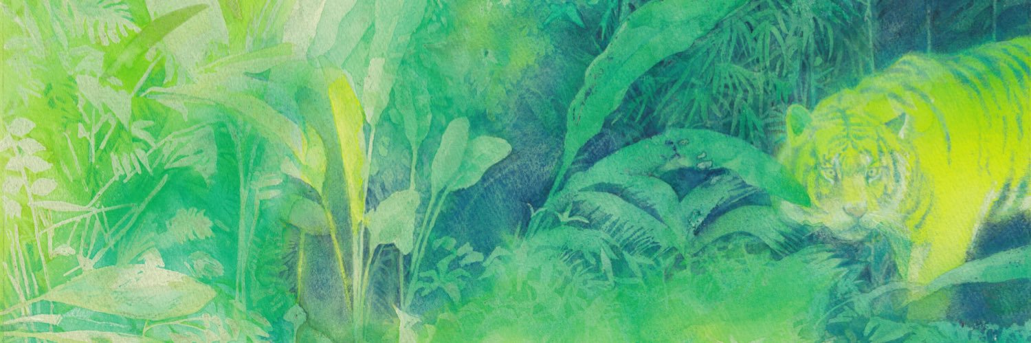 noraya39's profile banner image