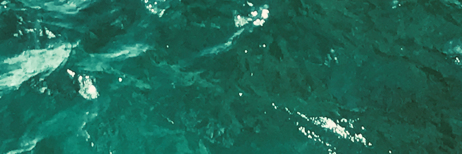 SEAS. banner