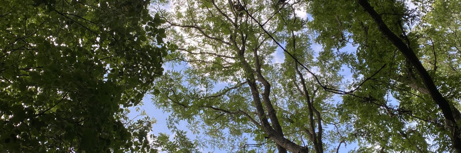 Dr Sophie Prosolek (she/they) 🧬 banner