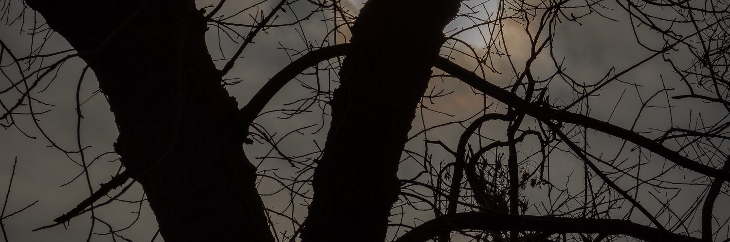 drewski522's profile banner image