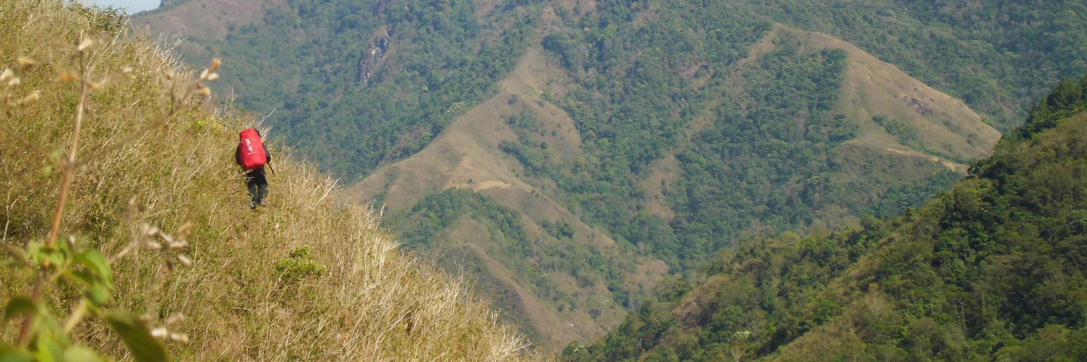 ijallo's profile banner image
