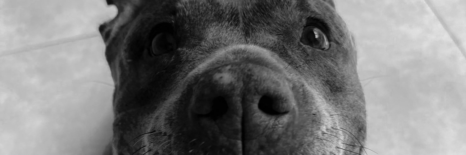 ConstiBurset's profile banner image
