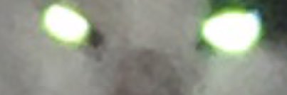 kaoooooru's profile banner image