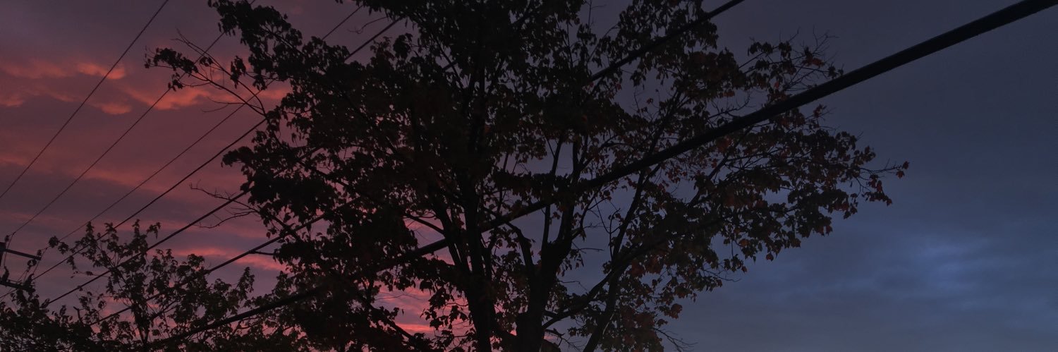 ncwhitey's profile banner image