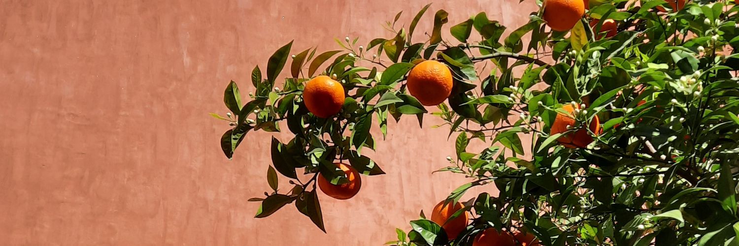 Flora Leroy Djouadi banner