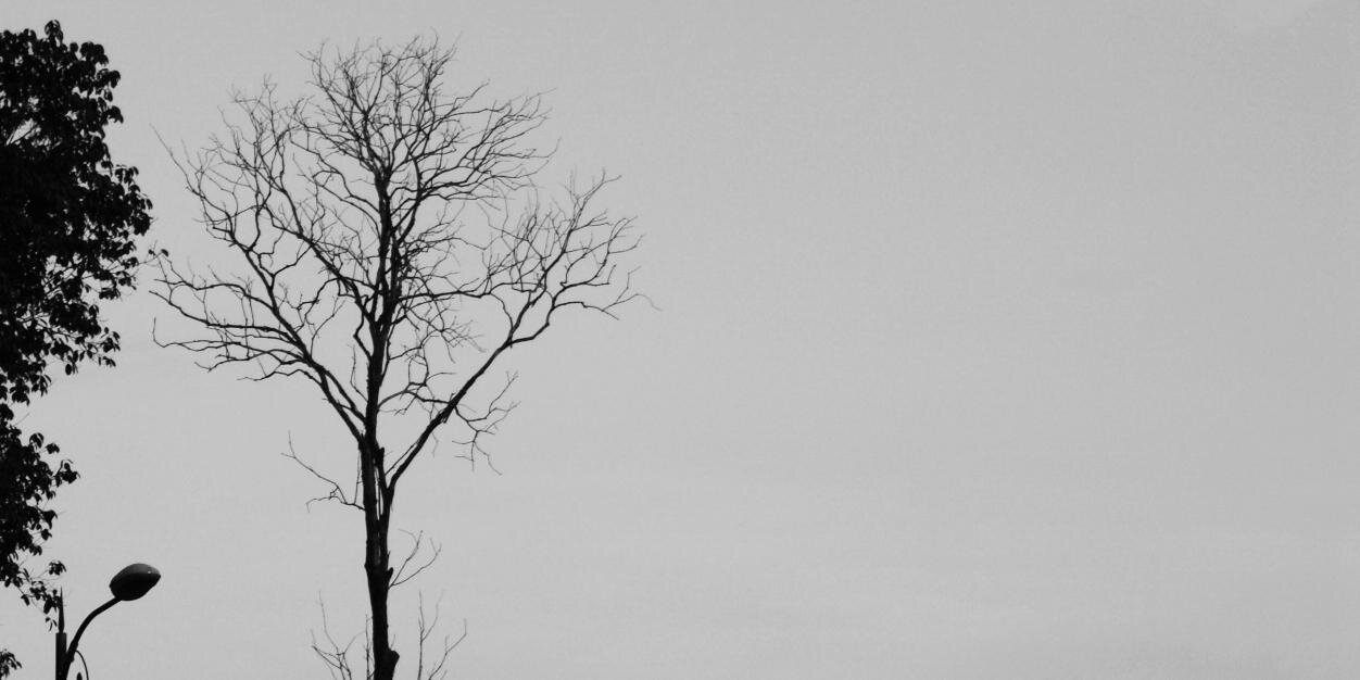 mzLna_'s profile banner image