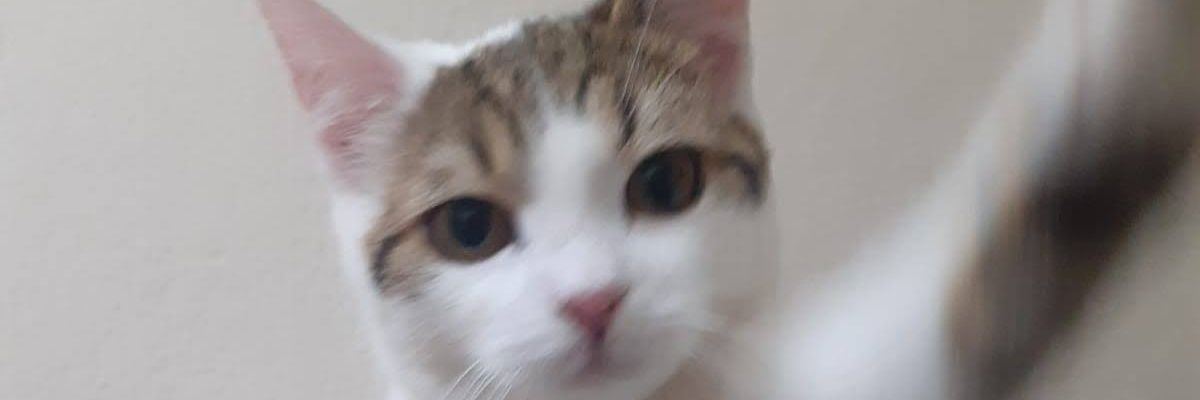 hsuat's profile banner image