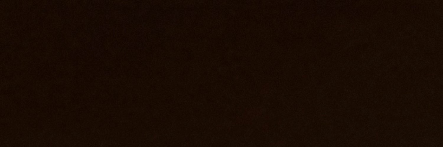 Vision banner