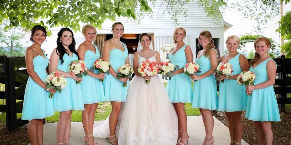 Katie Anderson banner