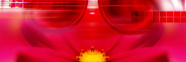 huminodun09 Profile Banner