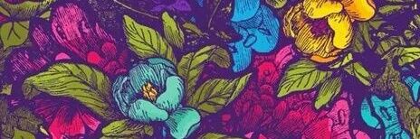 alecolunga_98's profile banner image