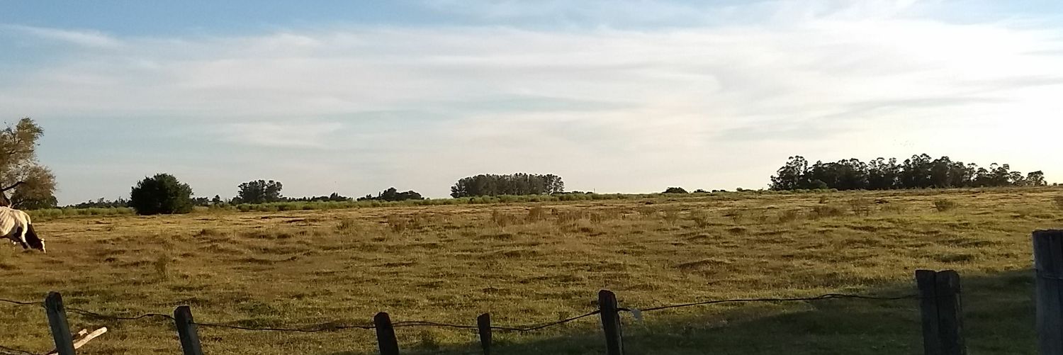 GeoAdkn's profile banner image