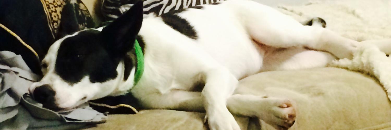 kelz's profile banner image