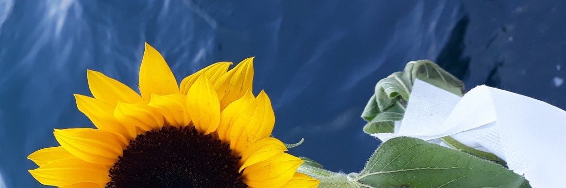albalakee's profile banner image