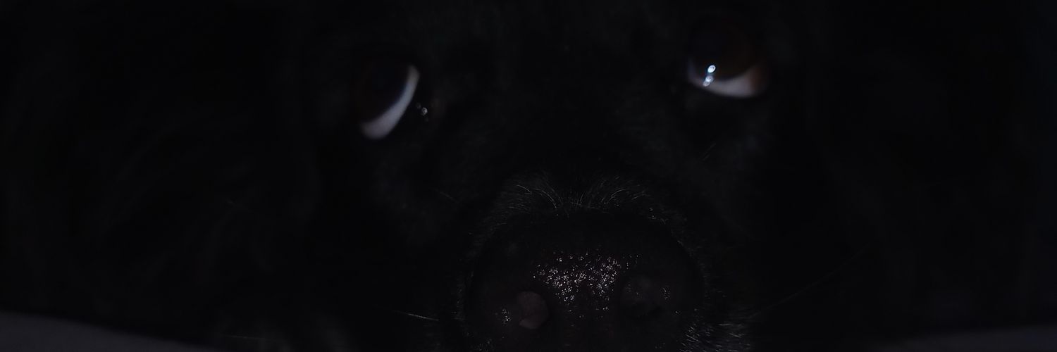 ariadna___0's profile banner image
