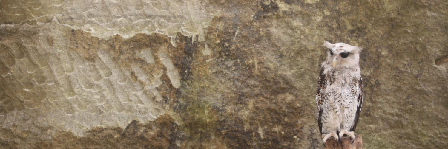 Mangsiusang's profile banner image