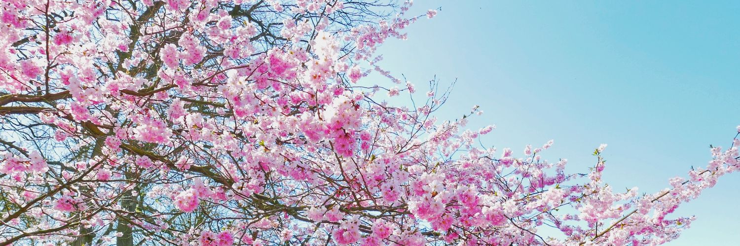 Coryna_Hartanto's profile banner image