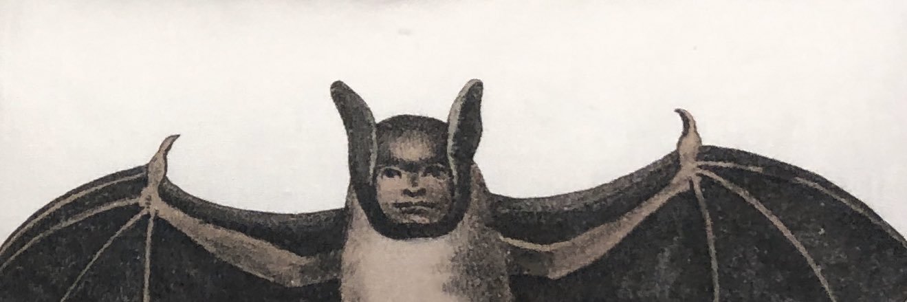 PaytonGriffen's profile banner image