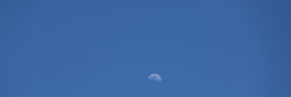 cwilson Profile Banner