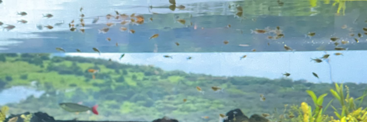 あます banner