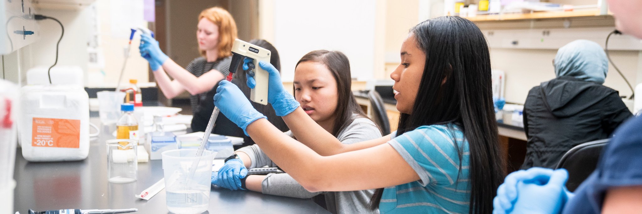 PathMaker Programs banner