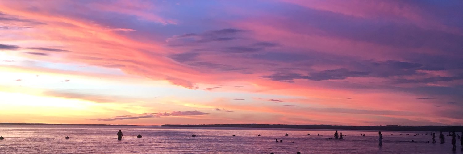 Marcelo Domínguez banner