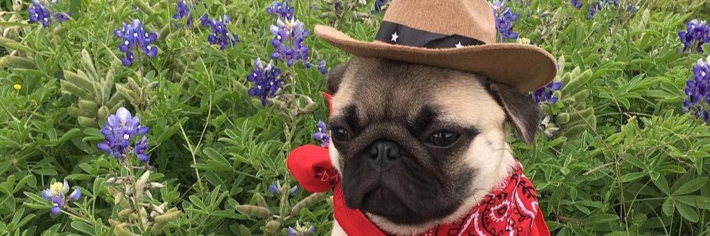 H0LYDICK's profile banner image