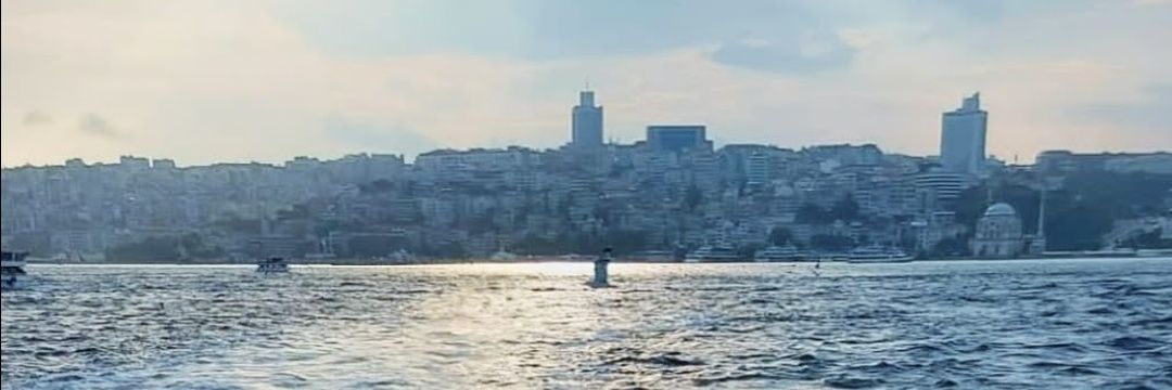 ELFIDA ÇINAR✨ banner