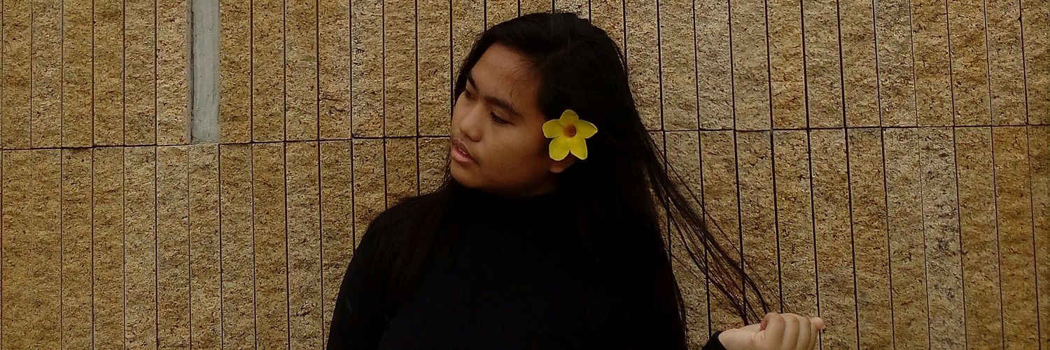 vadreeee's profile banner image
