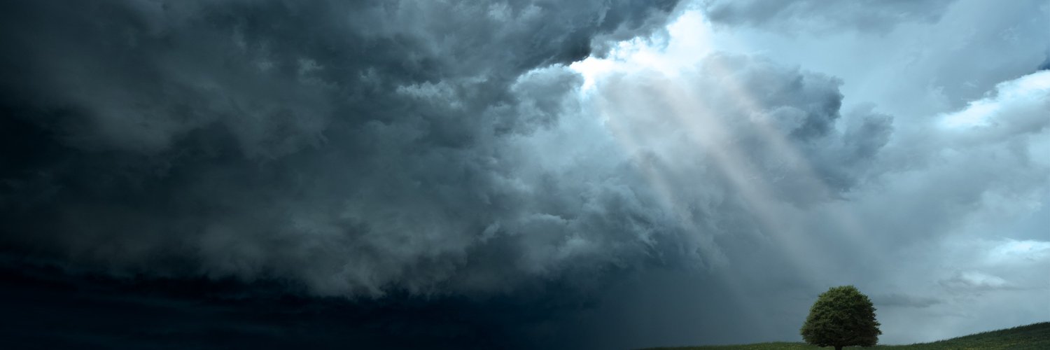 taxogger's profile banner image