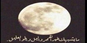 KING__ROOQ's profile banner image
