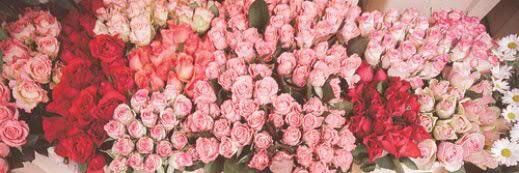 Vinza Buananda Wijayanti banner