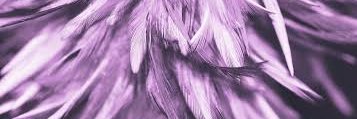 Mdy banner