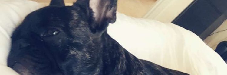 DannyPhillips18's profile banner image