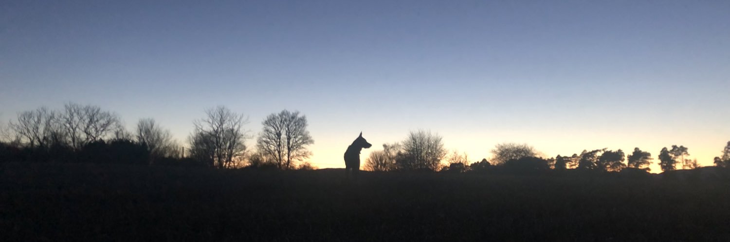 LlyrJohnson's profile banner image