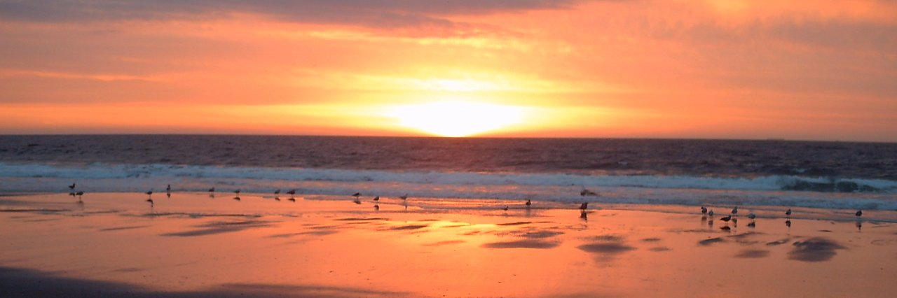 Perfesser Sytko 🇺🇸🇺🇸🇺🇸 ⚓ banner