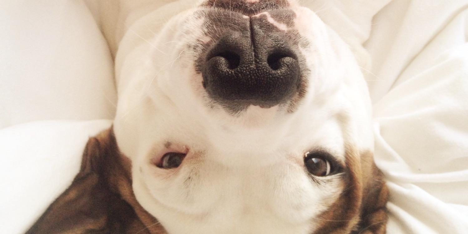 Jackie Conklin banner