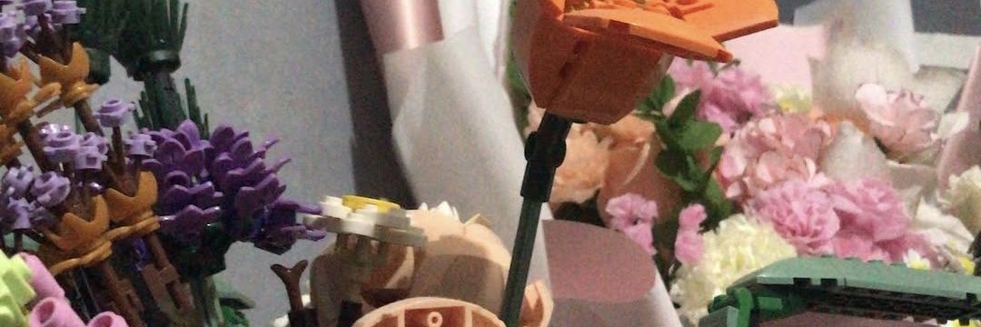 pattyburjeeeeer's profile banner image