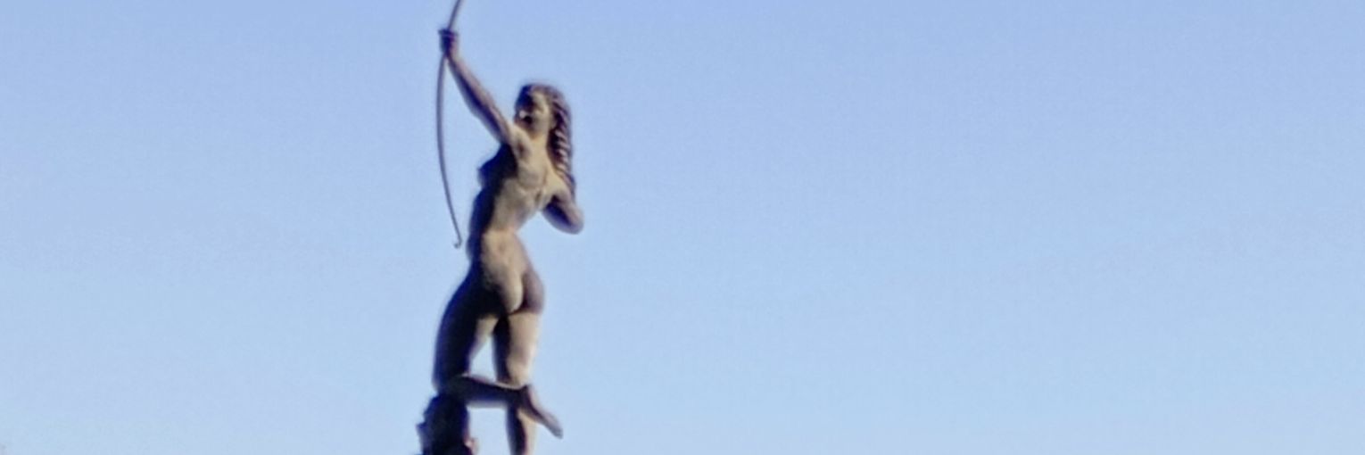 Salocin2015's profile banner image