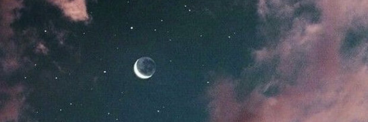 HonestyMaKayla's profile banner image