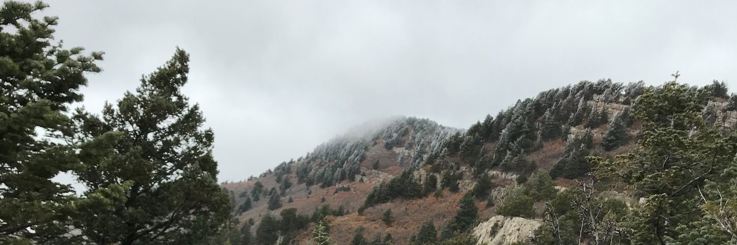 Lisa Anselmo PharmD BCOP banner