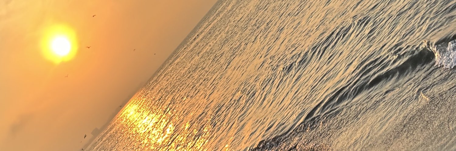 luis_alarcoon's profile banner image