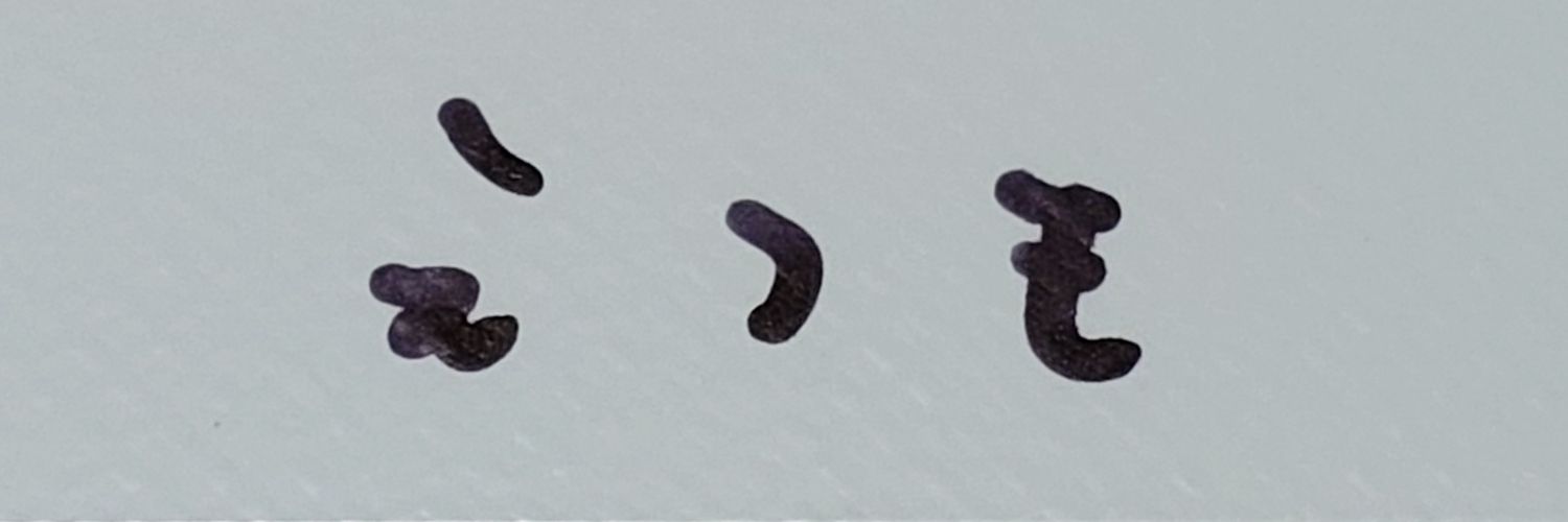 E2Mo's profile banner image